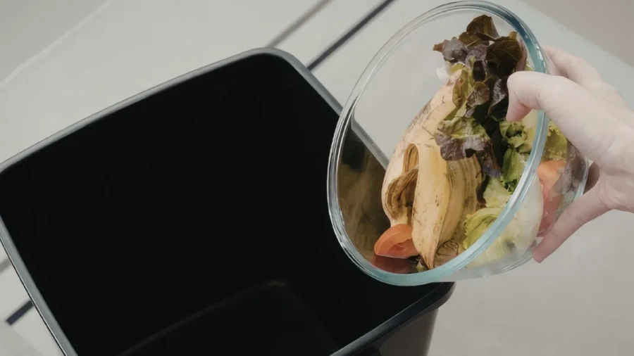 Всеки българин изхвърля 300 евро годишно под формата на храна