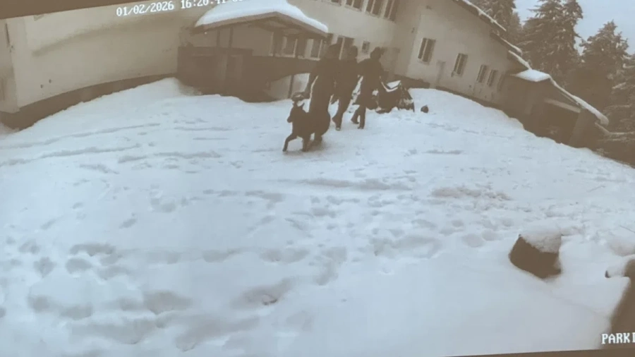 Турист с разказ през 2020 г.: От хижата в Петрохан излезе момче с изпокъсани гащи, каза ни да изчезваме