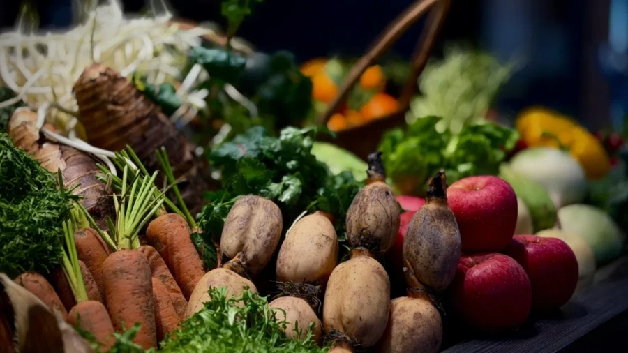 Помощта за пропаднали площи ще бъде изплатена на 2 и 4 март