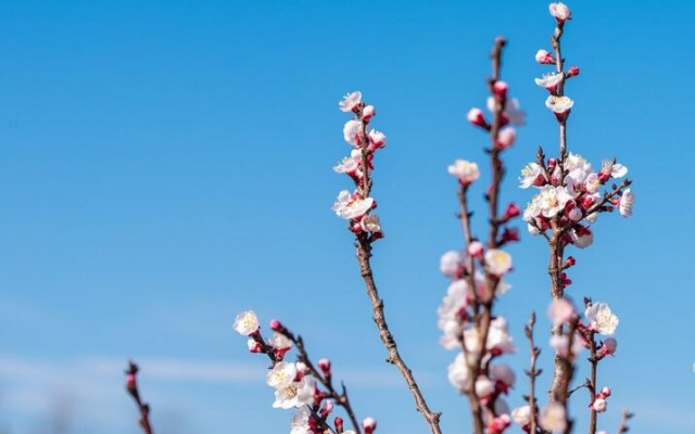 Пролетна събота, живакът удря 18 градуса