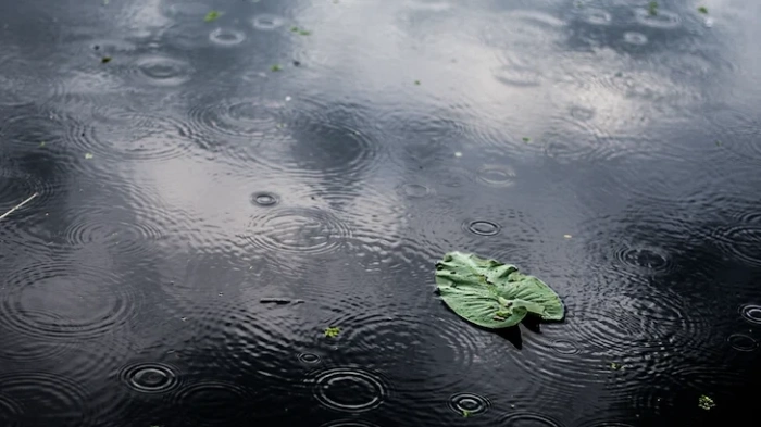 Посрещаме астрономическата пролет със застудяване