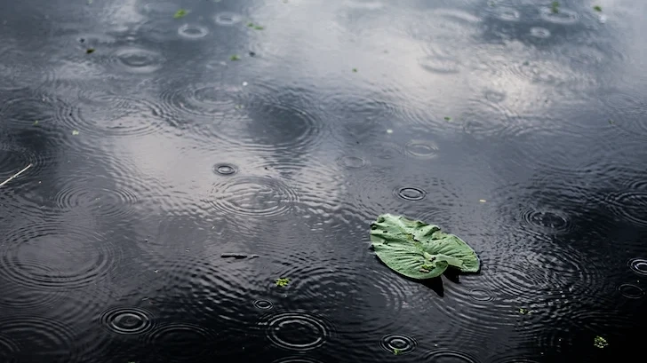 Посрещаме астрономическата пролет със застудяване