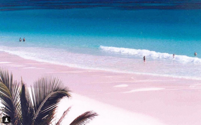 Българите масово отменят екскурзии до Близкия изток и Азия