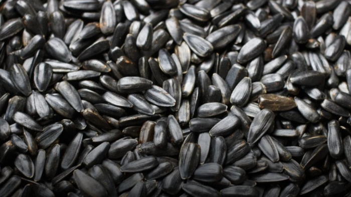 Зърнопроизводителите алармират: 4 кораба с аржентински слънчоглед, и 4-те с пестициди над нормата