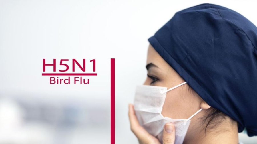 Първи случай на птичи грип при човек регистрираха в Италия