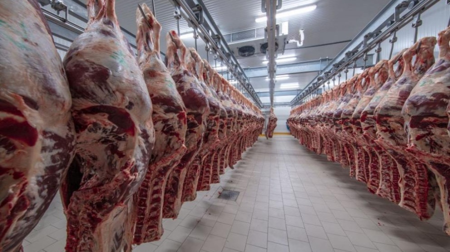 Акция „Чиста храна“: Представяте данни за незаконните кланици в Хасково и Кърджали