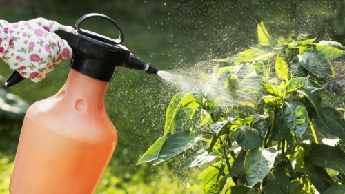 Пестицидите могат да повишат риска от рак