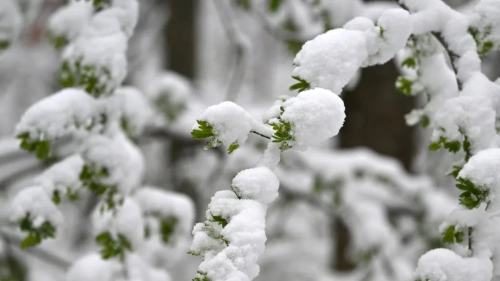 Румъния посреща Великден със студ и сняг