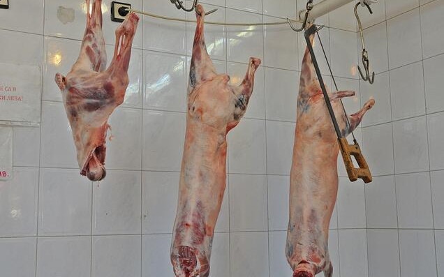 БАБХ дири месото от 800 заклани агнета без сертификати: Може вече да е в магазините