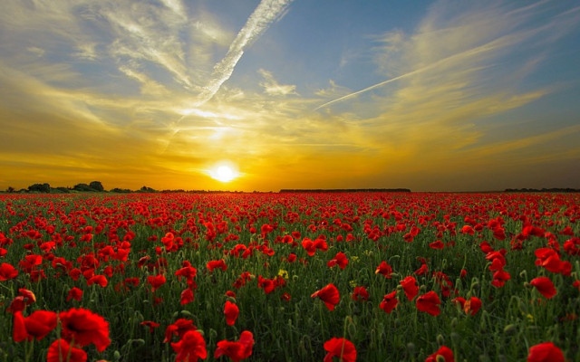 Времето през м. май според НИМХ: От - 3 до + 35 градуса