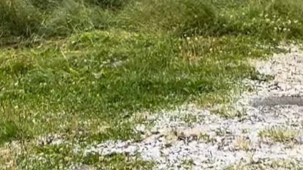 Сняг заваля посред лято в Румъния