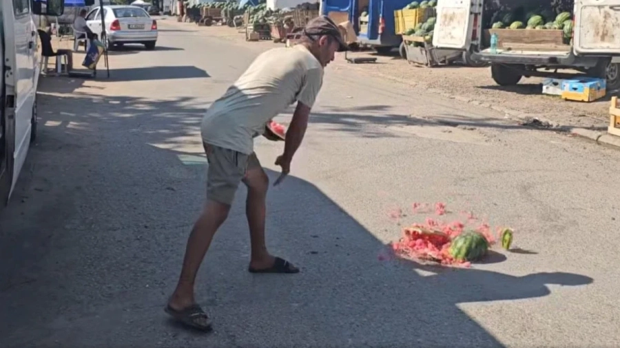 Криза в „столицата на дините“: Изкупуват продукцията в Любимец за 8 стотинки, производители я изхвърлят